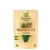 Rawpowder Ekologiskt Risprotein 250 g ris